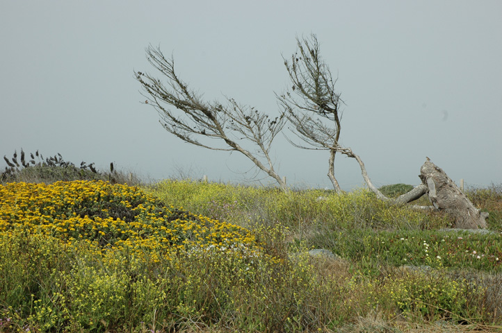 Piedras Blancos Lighthouse 003.jpg